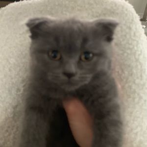 Meet your Posher, Tatyana